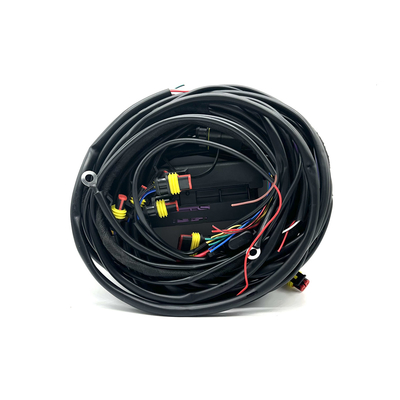 장비에게 56 핀 순차적 분사 LPG CNG 배선 하네스를 전송하는 8 실린더 ECU