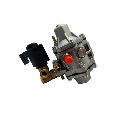 주문 자동 가솔린 연료주입 흡진기 오토바이 엔진 Cng 흡진기 Convertidor 1000cc online manufacture