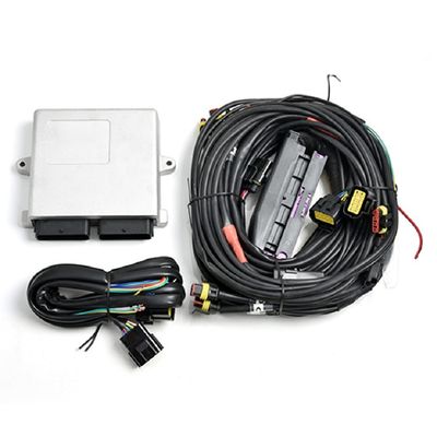주문 6/8 실린더 엔진을 위한 은 LN2568 오토가스 자동차 CNG LPG ECU online manufacture