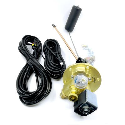 주문 솔레노이드 밸브와 2.5MPa LPG 기름 탱크 멀티 밸브 자동차 가스 밸브 online manufacture