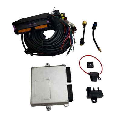 Autogas 차 순차 주입 체계 Autogas 32 Pin Ecu Cng Lpg 가스 변환 장비