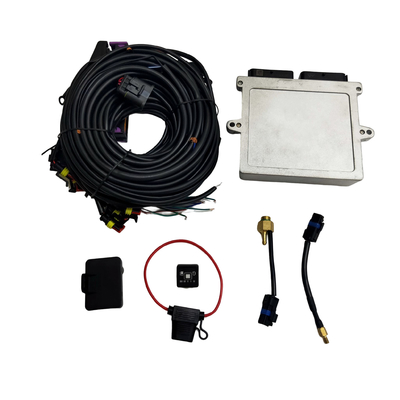 Autogas 차 순차 주입 체계 Autogas 32 Pin Ecu Cng Lpg 가스 변환 장비