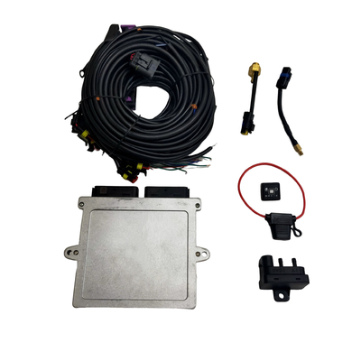 Autogas 차 순차 주입 체계 Autogas 32 Pin Ecu Cng Lpg 가스 변환 장비