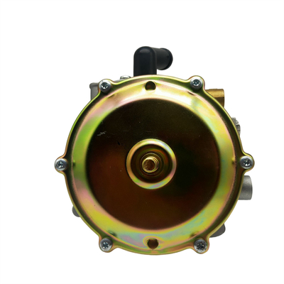 Cnc Lpg 자동 변환기 키트 12v 연료 압력 조절기 Ngv 기화기 조절기 Cng
