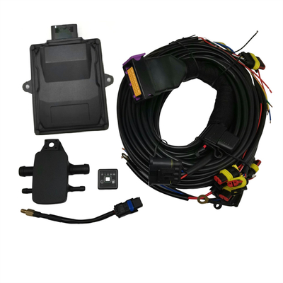 고급 및 사용자 지정 기능과 함께 전문 블랙 LPG ECU ECU 컨트롤