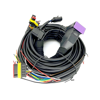 4 실린더 ECU 동안 장비를 배선하는 CNG LPG 순차적 분사 24 핀 자동차