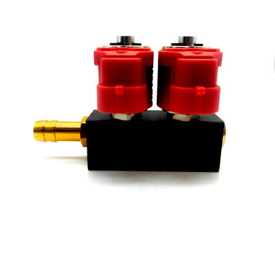 좋은 가격 GPL GNV 자동차 연료 시스템을 위한 나무가 없는 대초원 LN-VTK02 2 실린더 분사 장치 레일 온라인으로